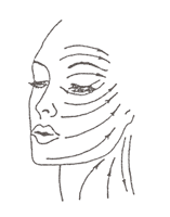 Схема массажных линий