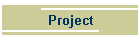 Project